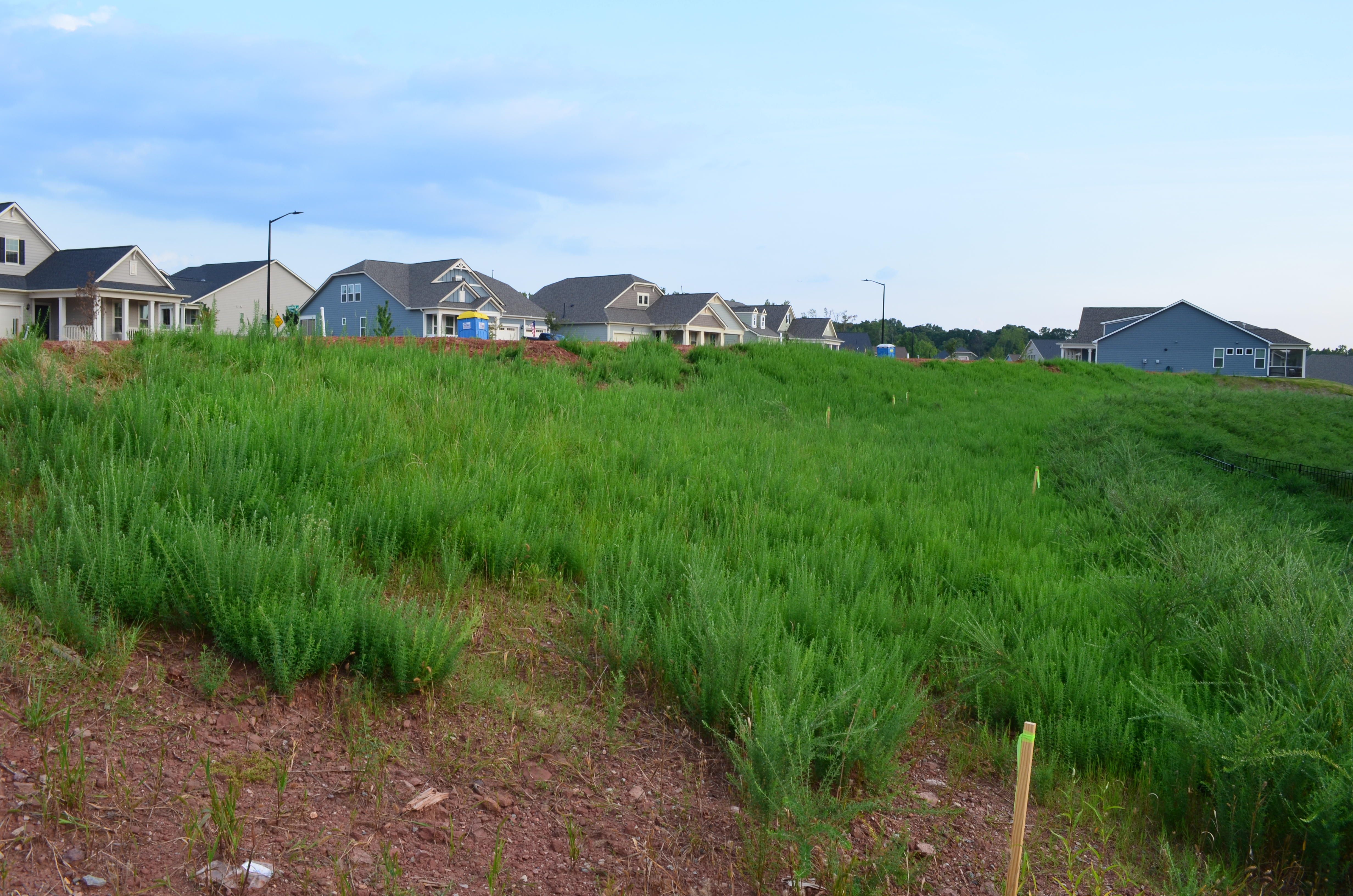 ./2019/17 - New House/AUDSC_0903.JPG